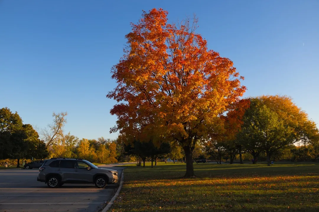 Kad je najbolje vrijeme za kupnju rabljenog auta u EU?